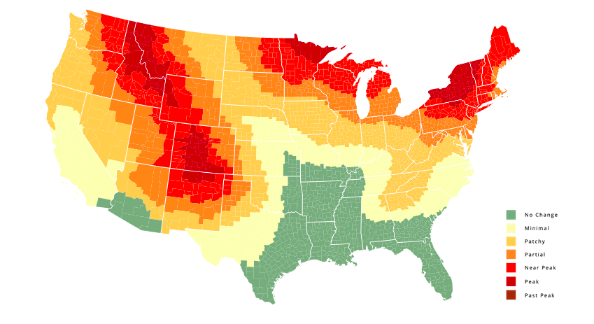 This Fall Foliage Map Shows You When to Expect Peak Autumn Gorgeousness