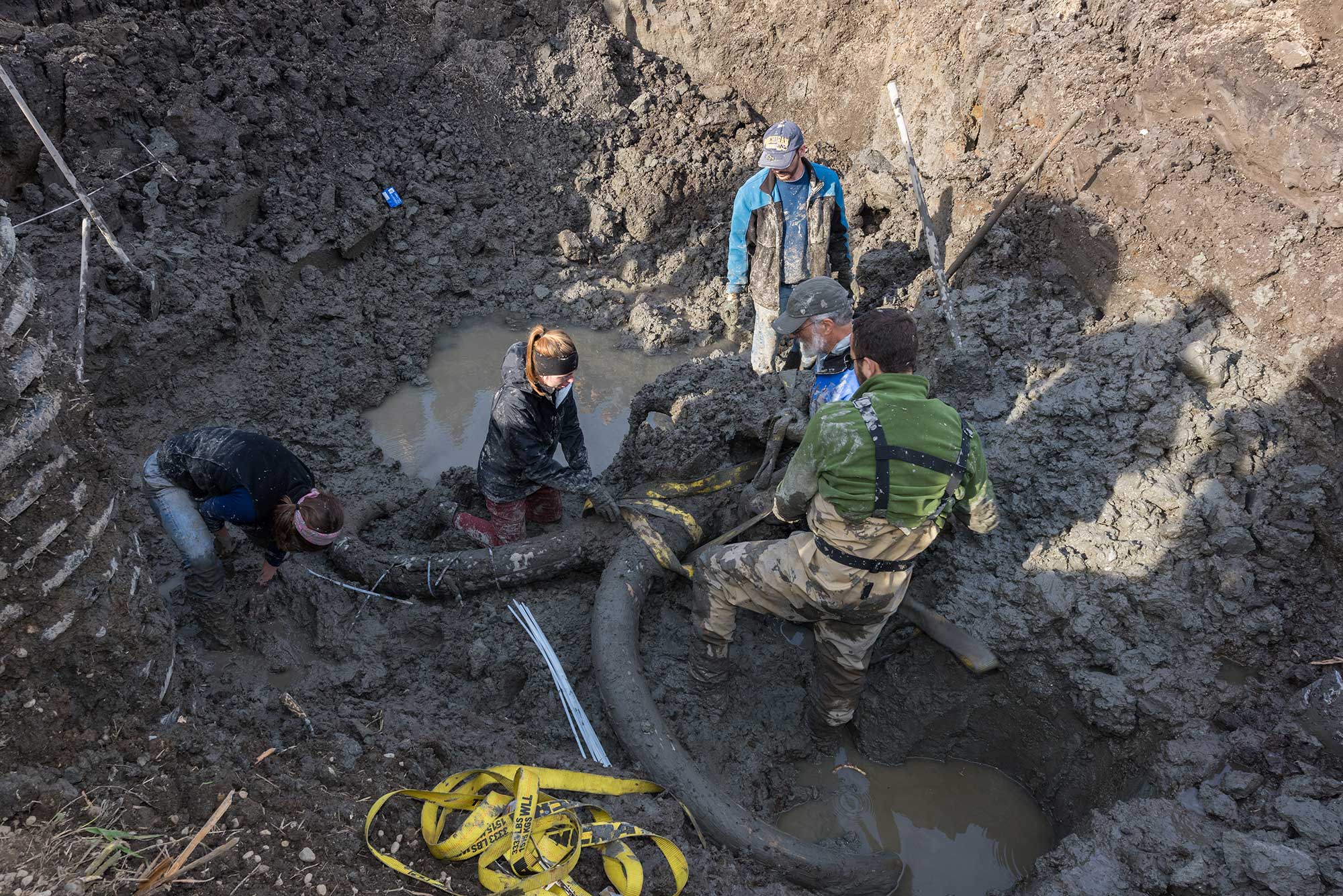 A Michigan Farmer Found a Near-Complete Mammoth Skeleton in His Field
